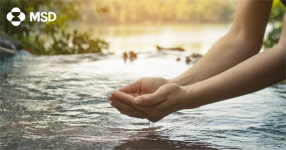 MSD remarca la importancia del uso responsable del agua para construir un futuro seguro, sostenible y saludable