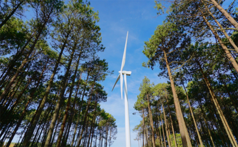 Iberdrola suma más de 1.800 acciones en biodiversidad en los últimos dos años